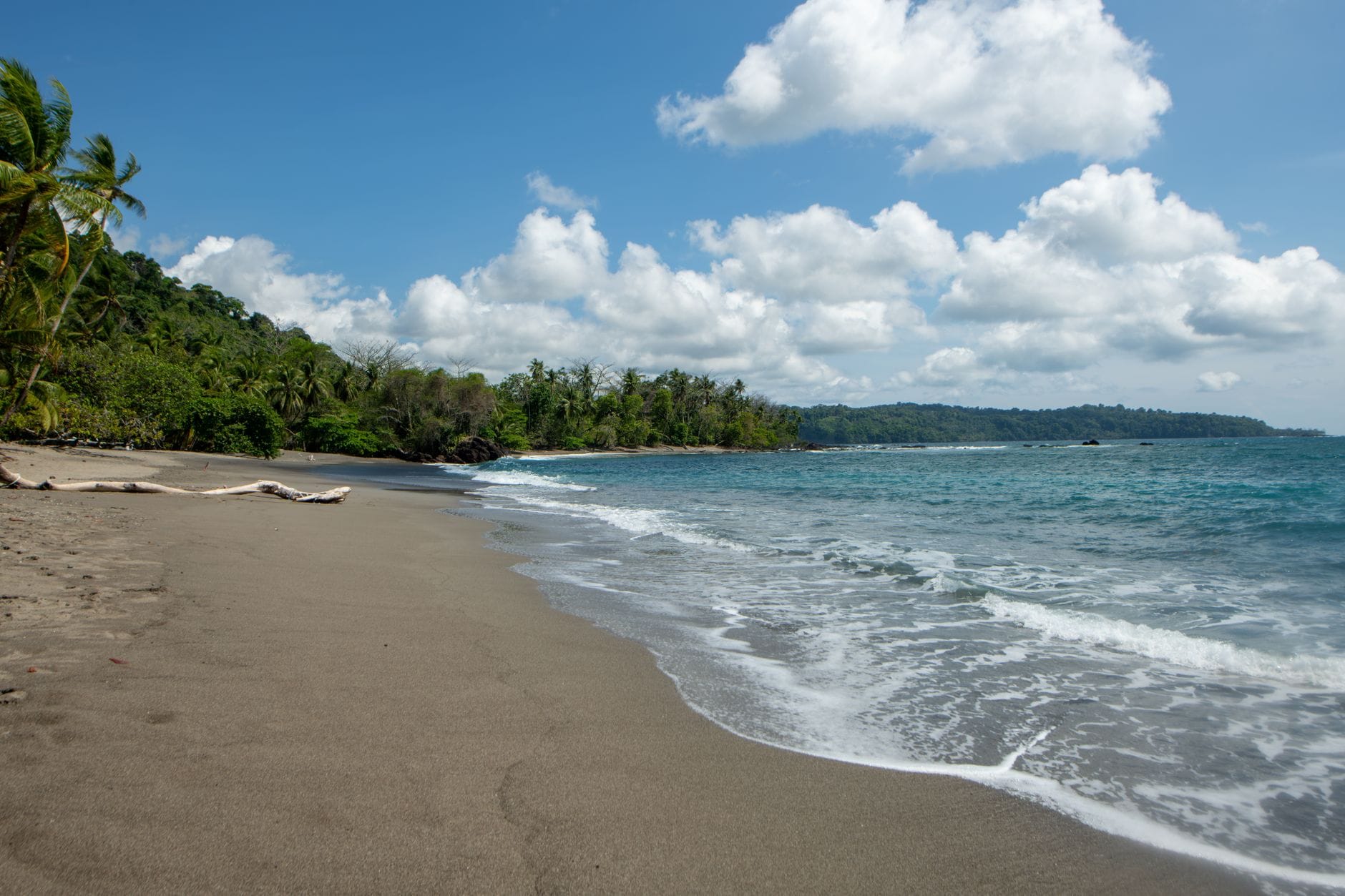 Spokojna plaża na Kostaryce otoczona bujną zielenią i błękitnym niebem