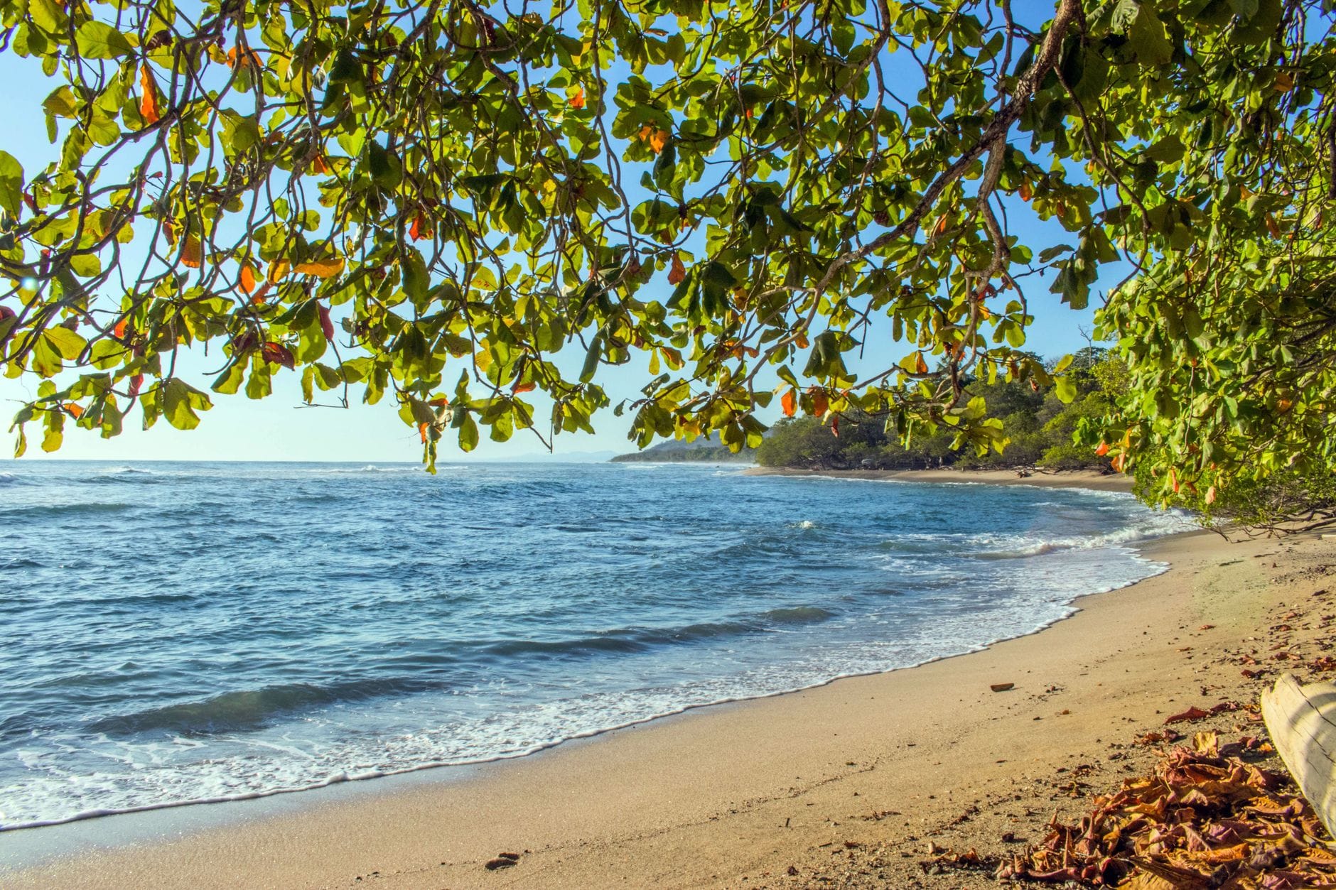 Kostaryka na własną rękę – praktyczny przewodnik po najpiękniejszych miejscach i plażach Spokojna plaża w Puntarenas w Kostaryce otoczona bujną zielenią