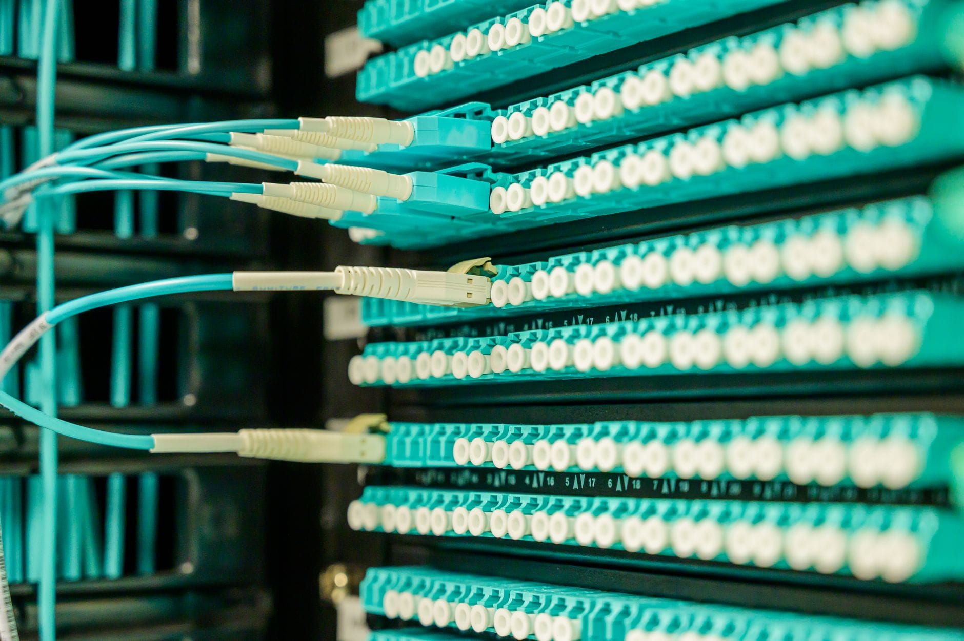Kable sieciowe podłączone do panelu w serwerowni data center